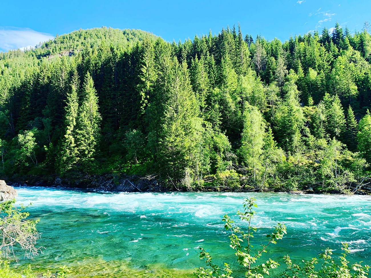 Norway river